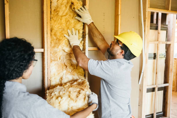 Best Garage Insulation  in Granbury, TX